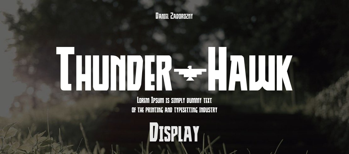 Thunder-Hawk Font Family