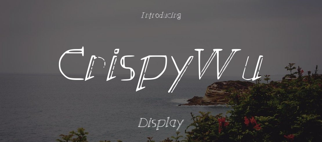 CrispyWu Font