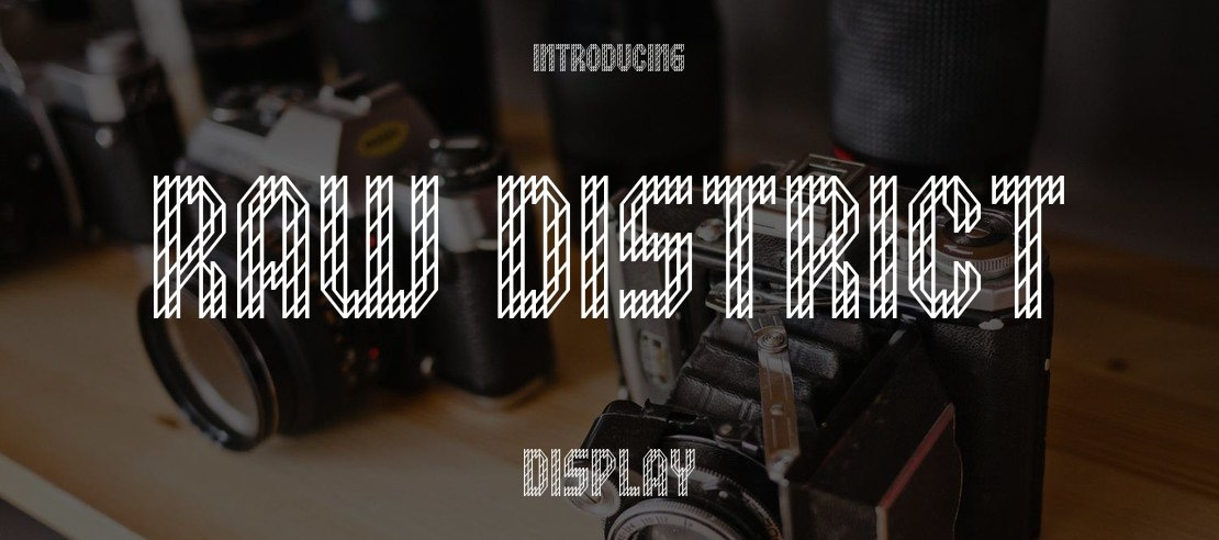 Raw District Font