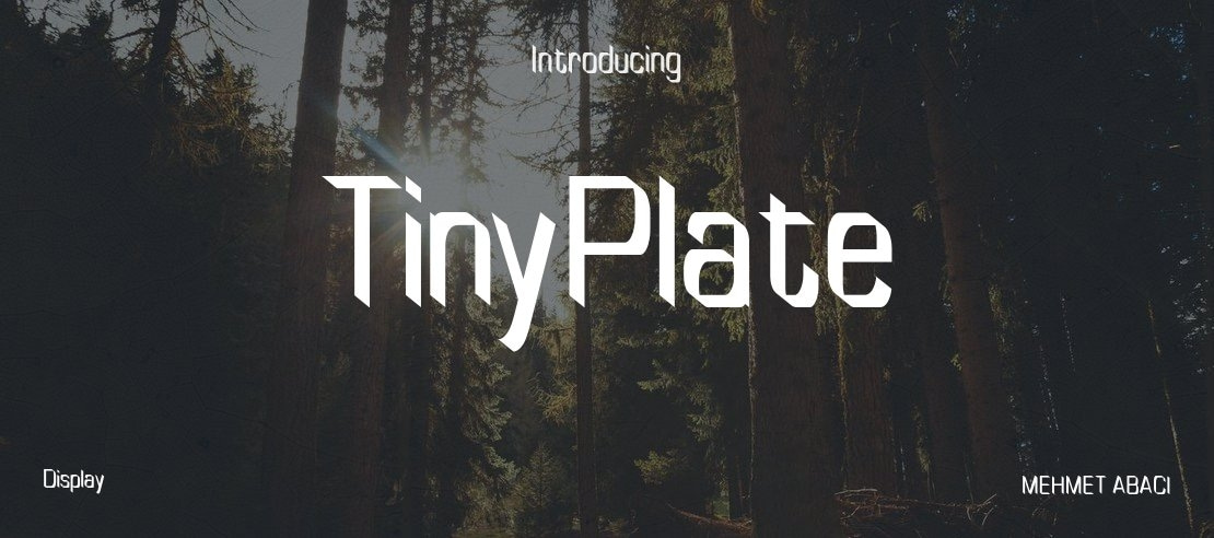 TinyPlate Font Family