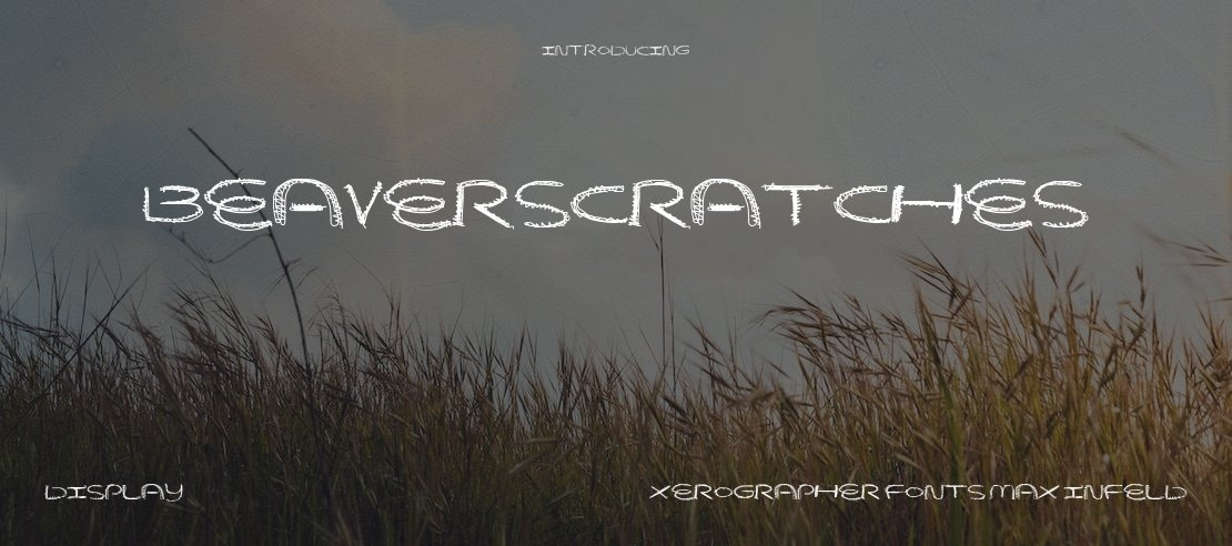 BeaverScratches Font