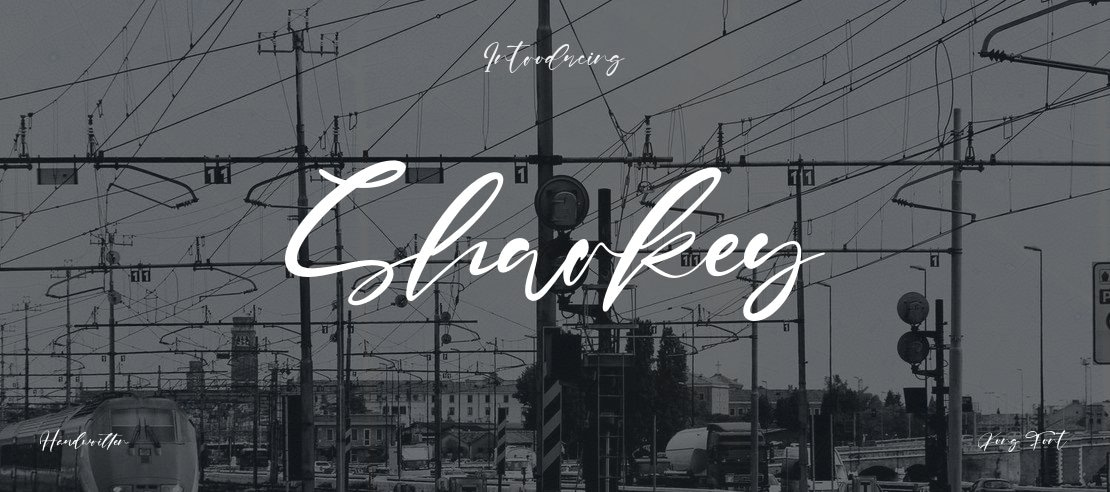 Sharkey Font