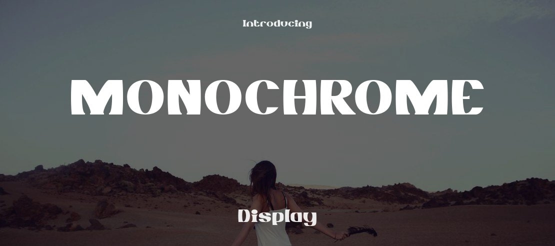 MONOCHROME Font Family