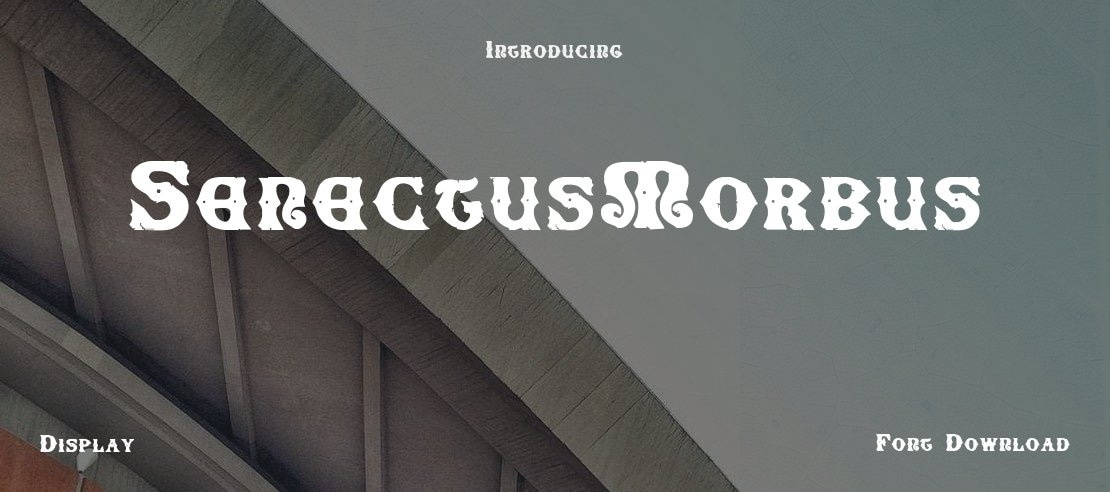 SenectusMorbus Font Family