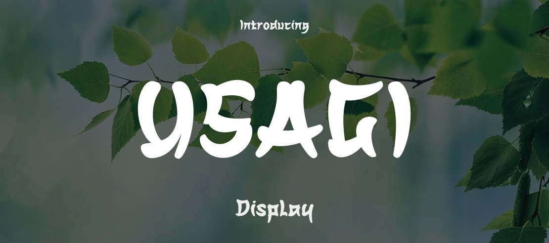 USAGI Font