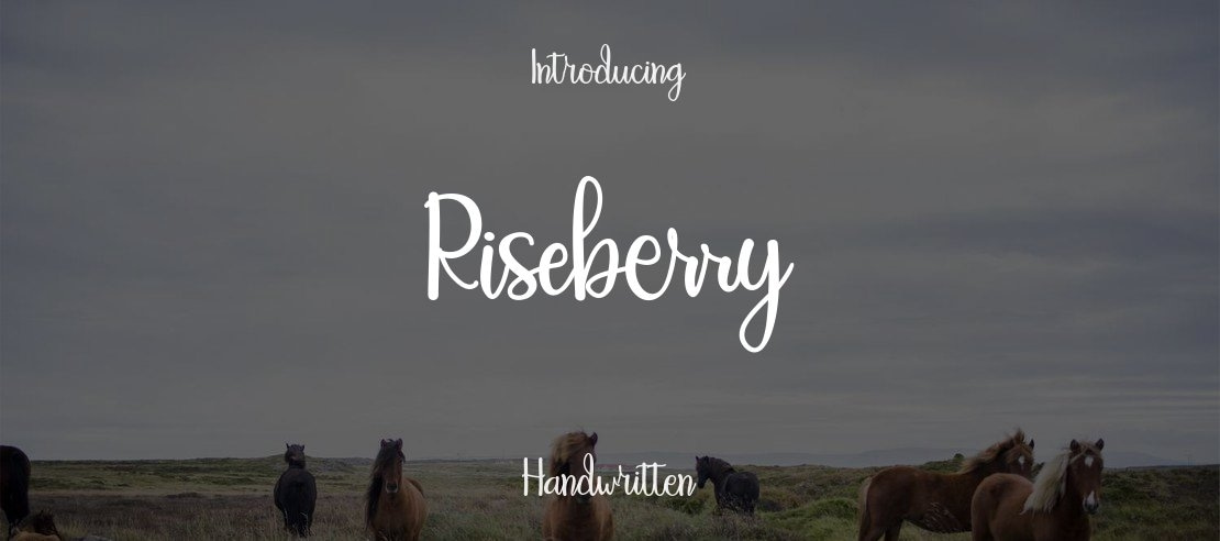 Riseberry Font