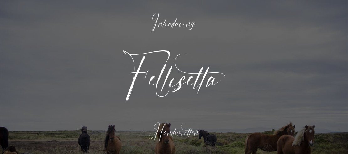 Fellisetta Font