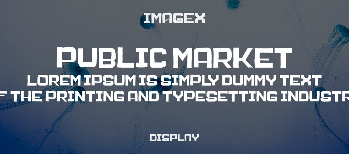 Public Market Font