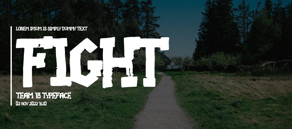 Fight team 18 Font