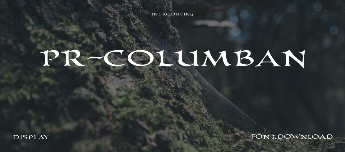 PR-Columban Font