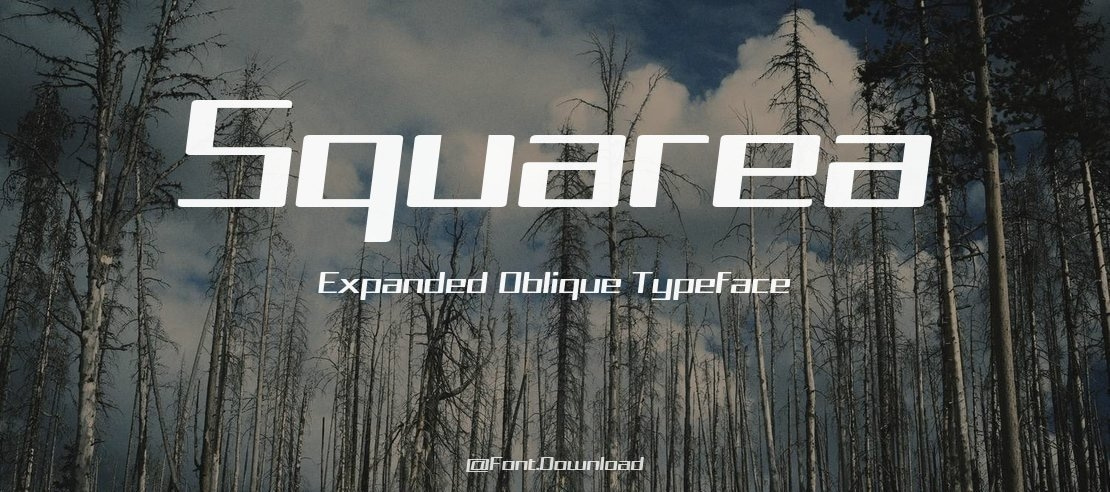 Squarea Expanded Oblique Font Family