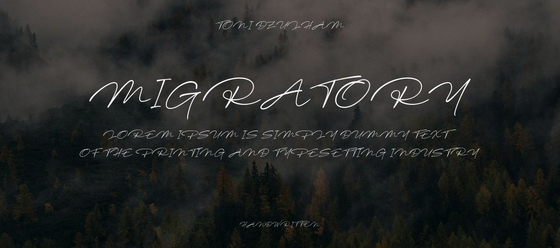 Migratory Font