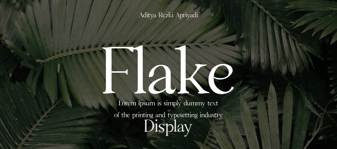 Flake Font