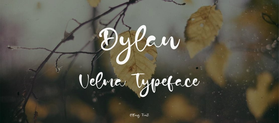 Dylan Velma Font