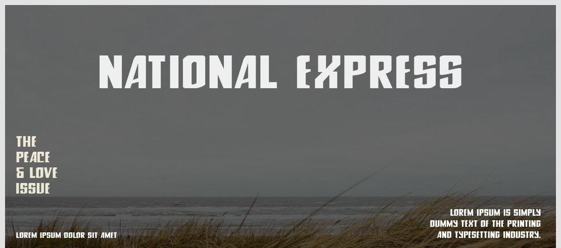 National Express Font Family