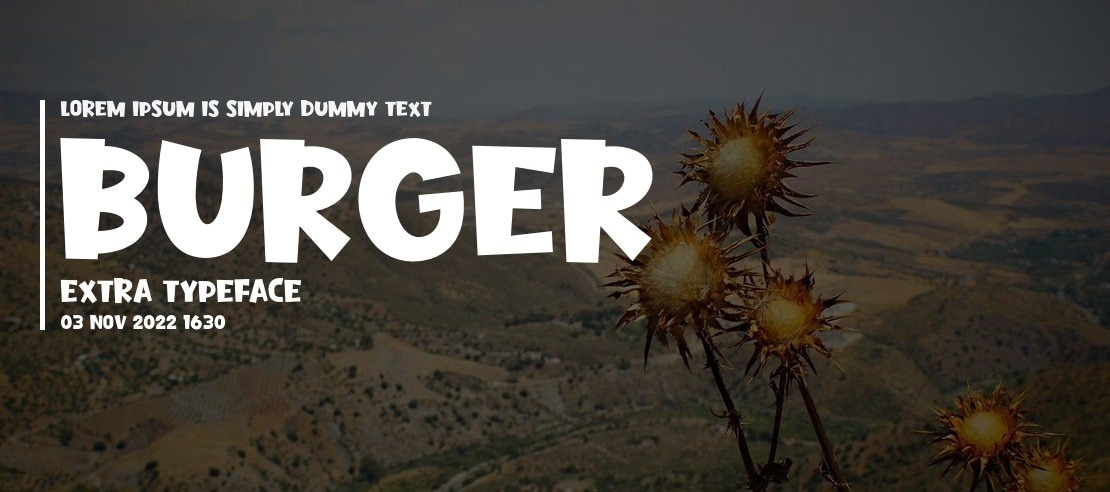 Burger Extra Font