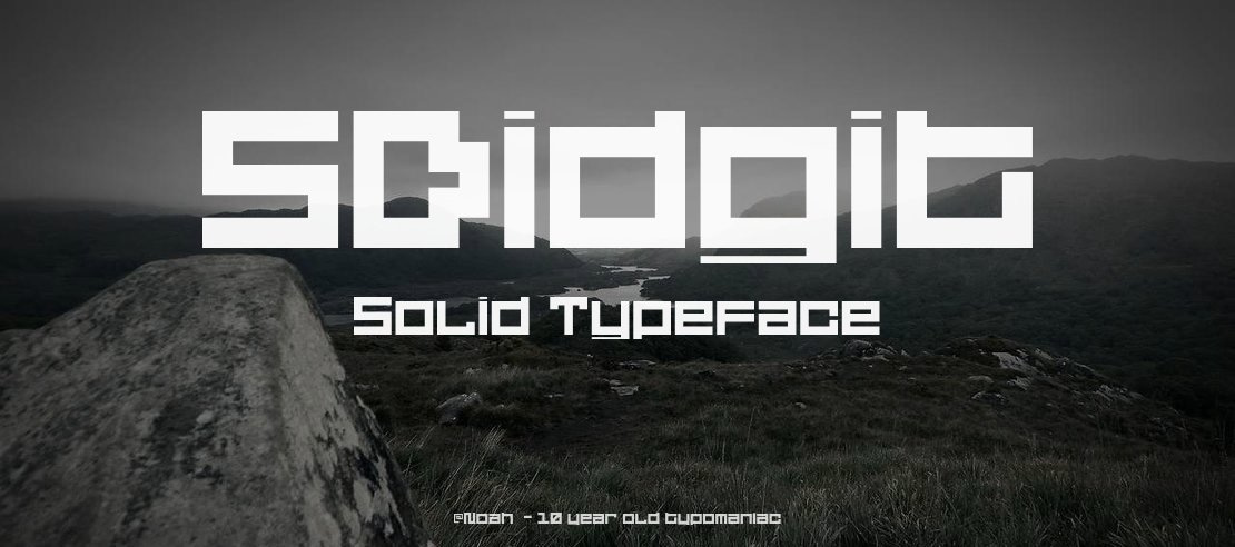 5Didgit Solid Font Family