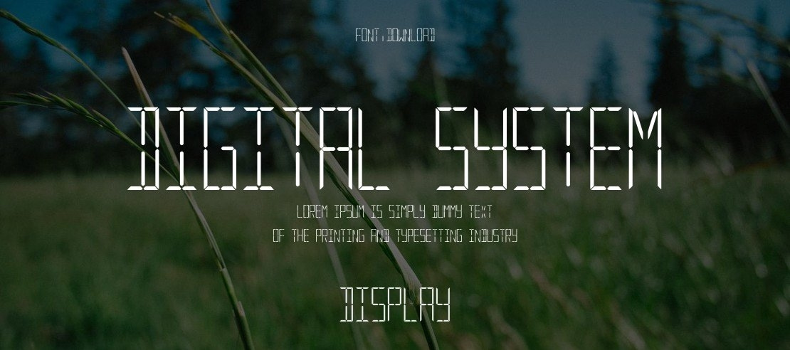 Digital System Font