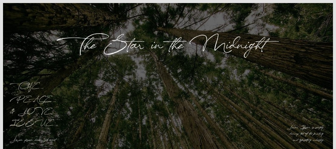 The Star in the Midnight Font