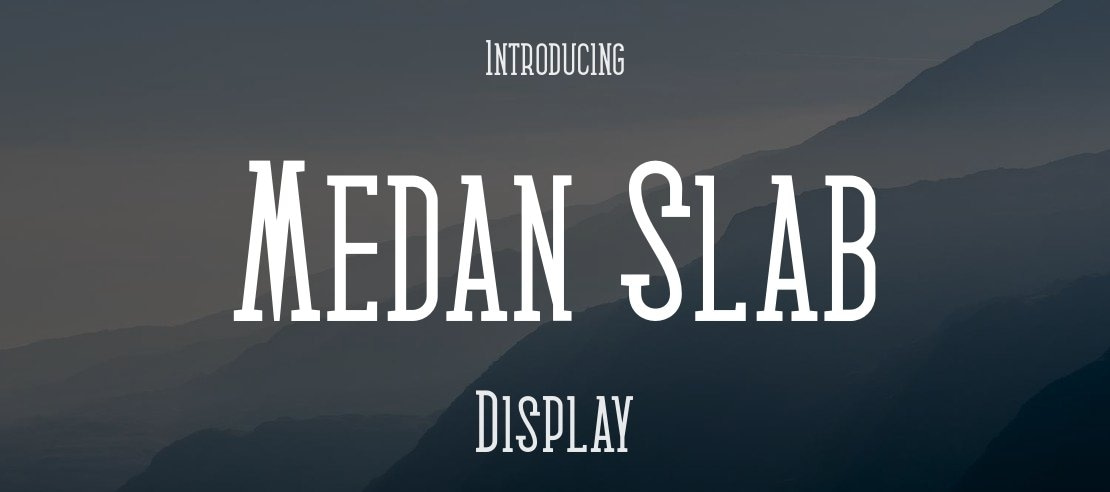 Medan Slab Font Family