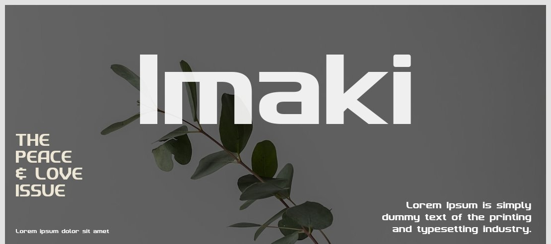 Imaki Font Family