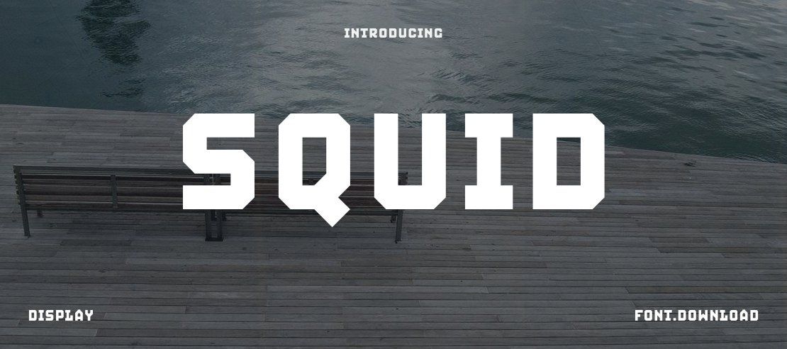 Squid Font Family