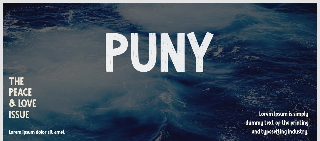 PUNY Font