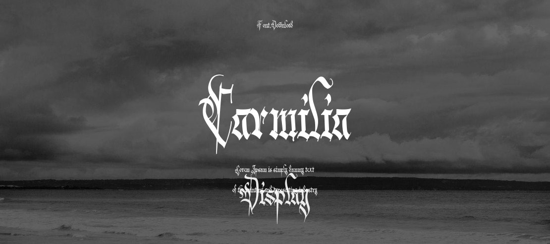 Carmilia Font