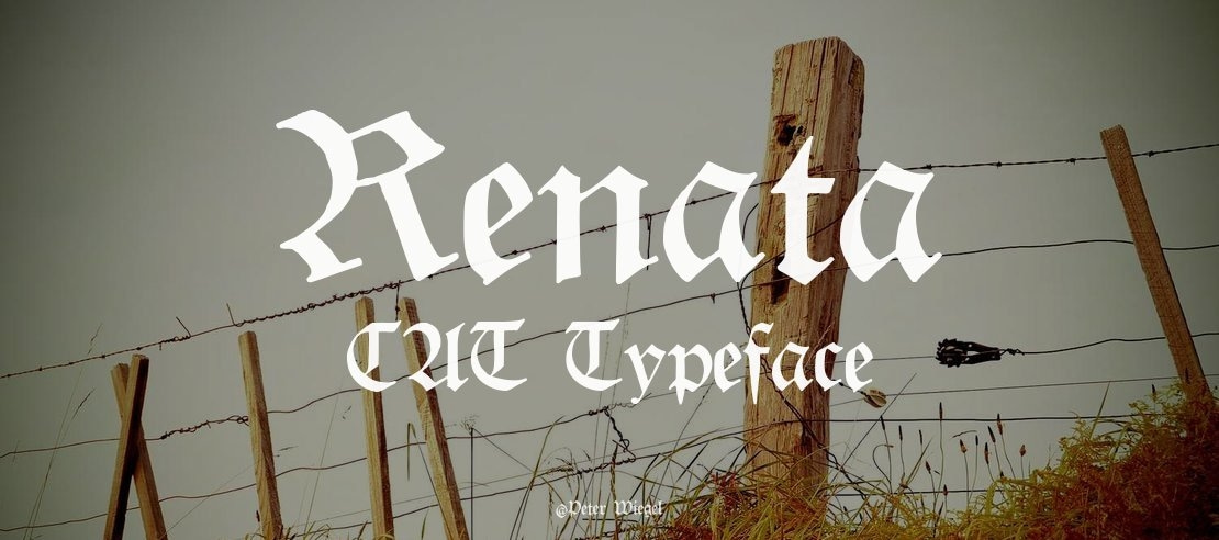 Renata CAT Font