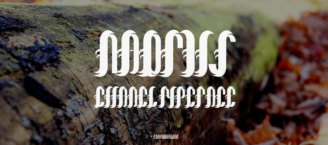 Naomis Citadel Font