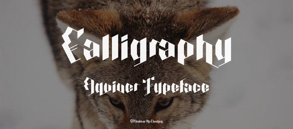 Calligraphy Aquiver Font