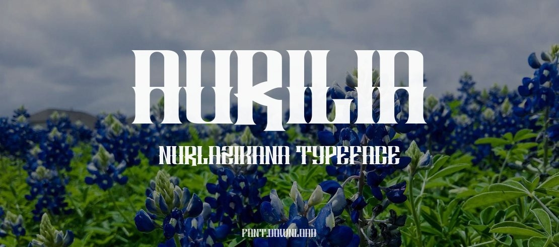 AURILIA NURLAZIKANA Font