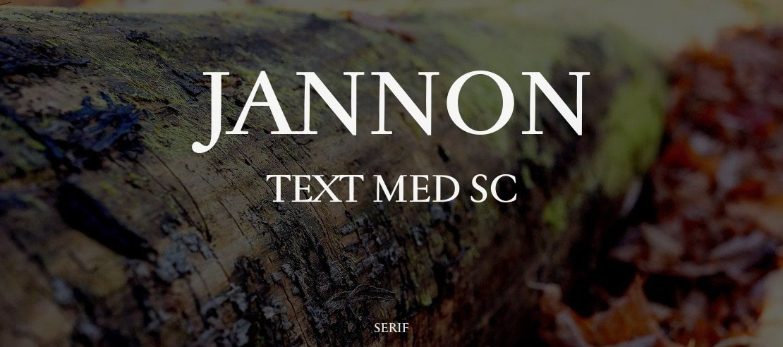 Jannon Text Med SC Font