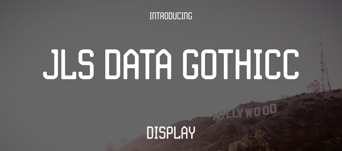 JLS Data GothicC Font Family