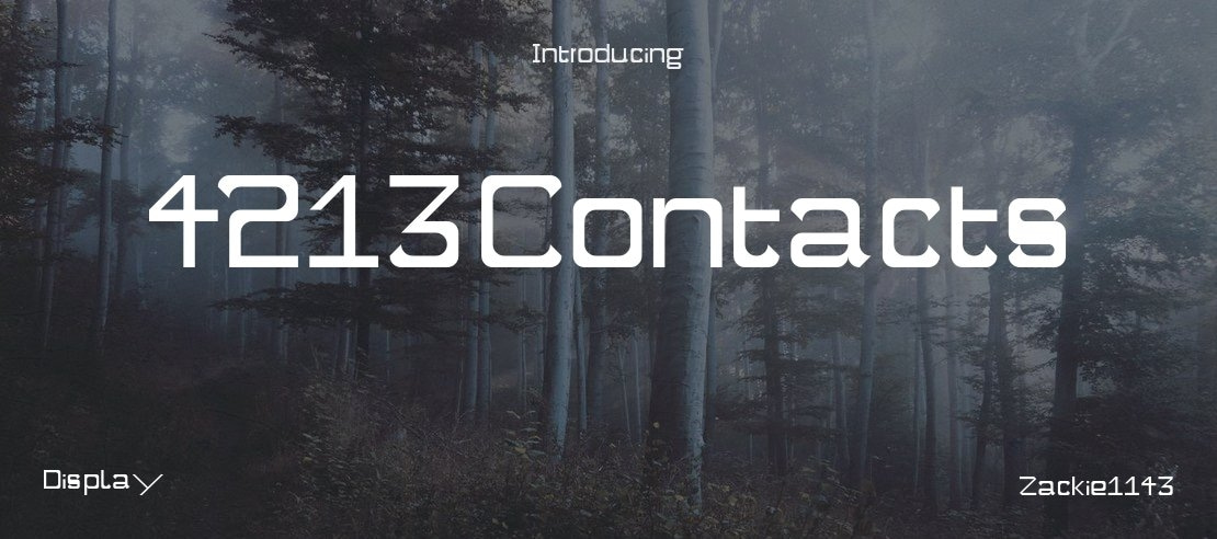 4213 Contacts Font