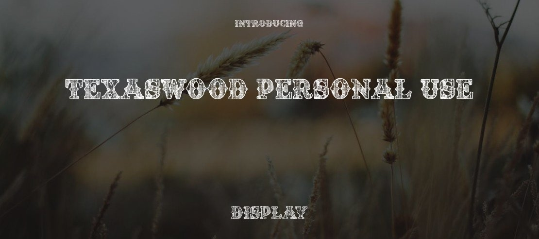 TEXASWOOD PERSONAL USE Font