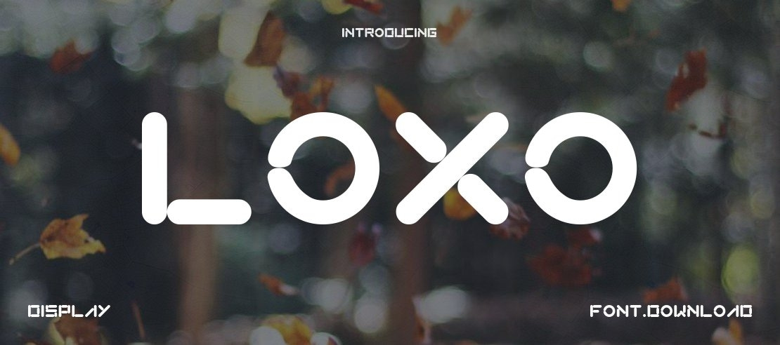 LOXO Font