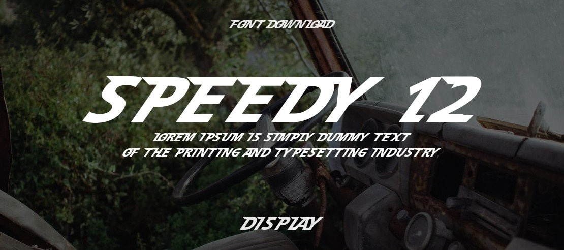 Speedy 12 Font