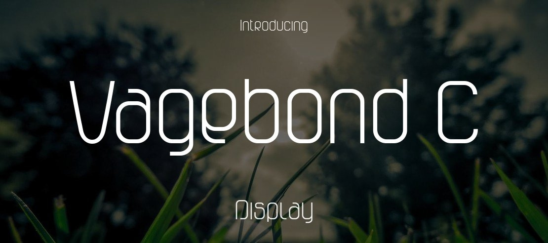 Vagebond C Font