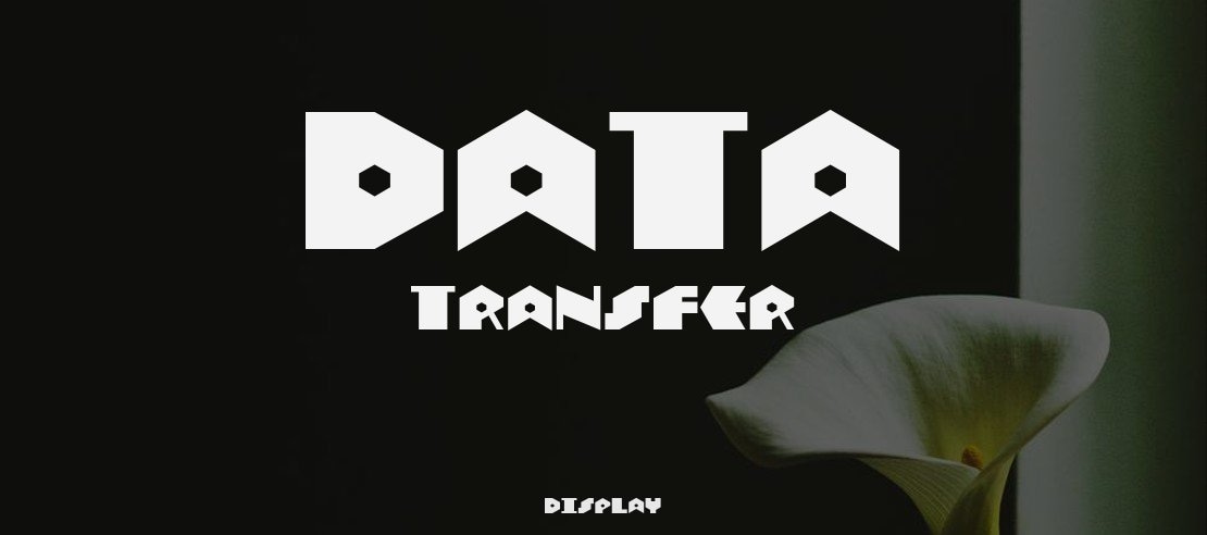 Data Transfer Font