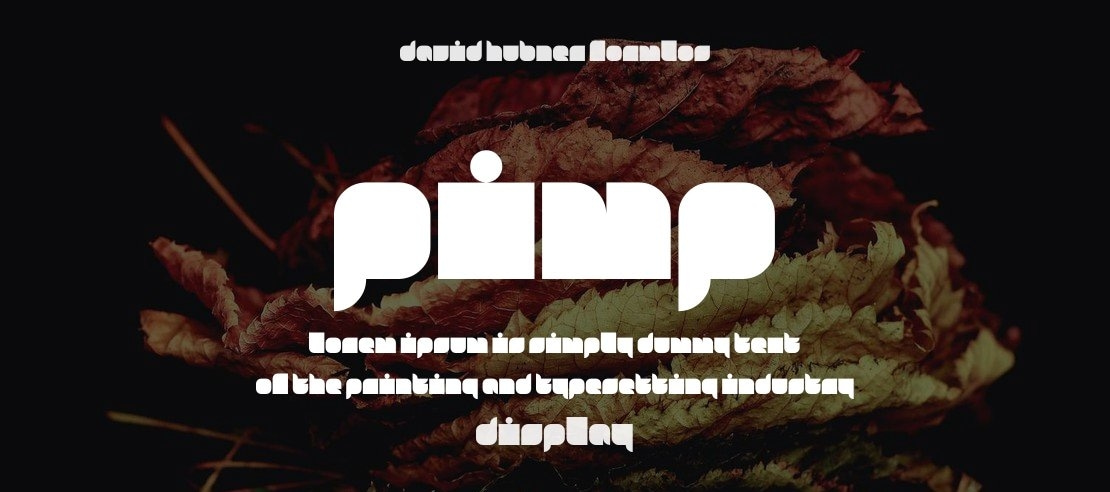 Pimp Font