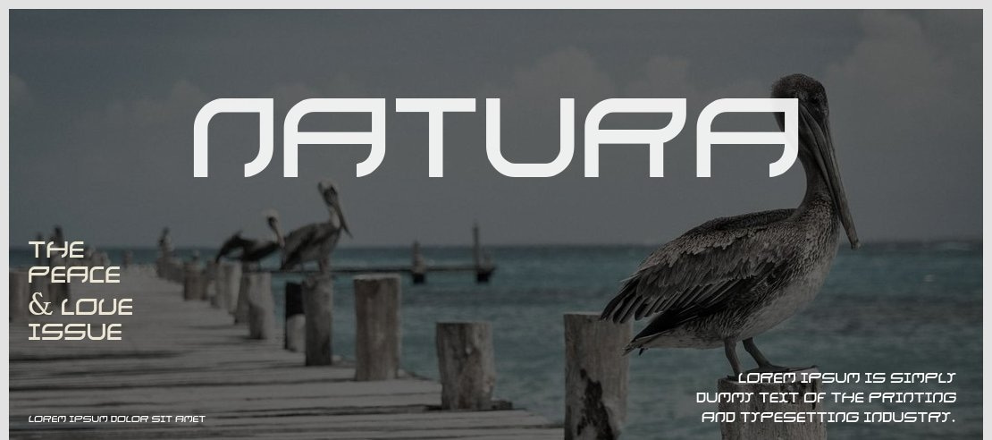 natura Font