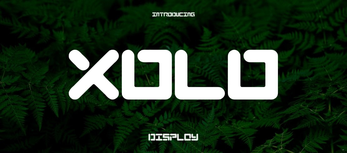 XOLO Font Family