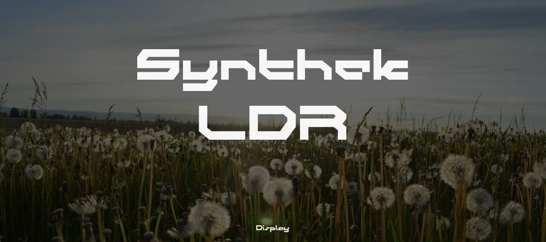 Synthek  LDR Font Family
