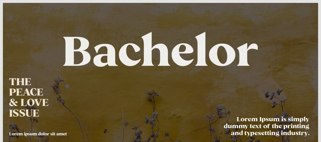 Bachelor Font