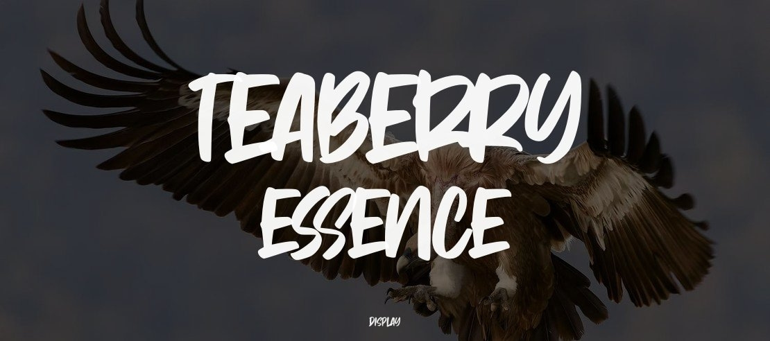 Teaberry Essence Font