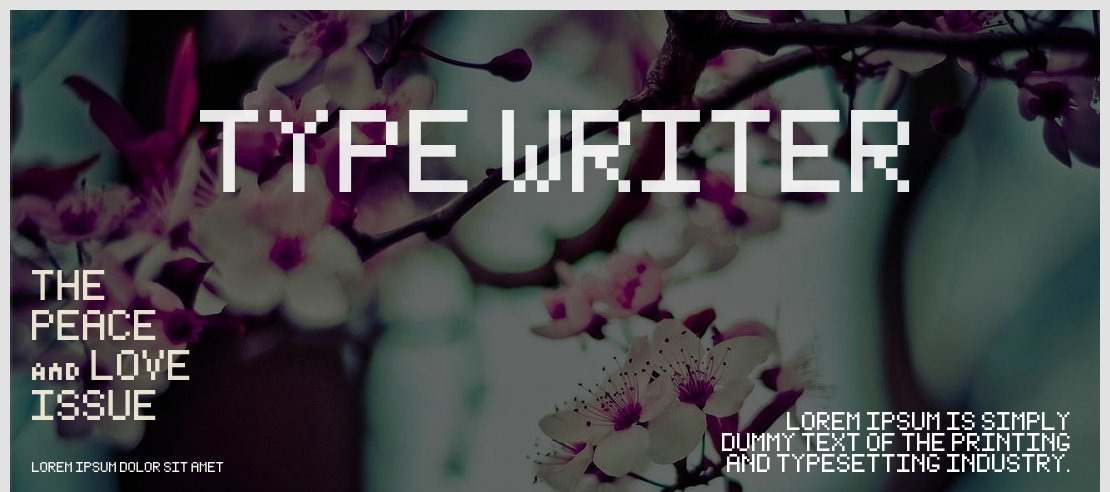 Type Writer Font