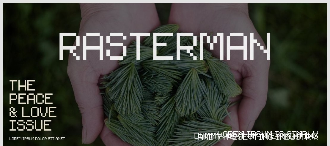 Rasterman Font