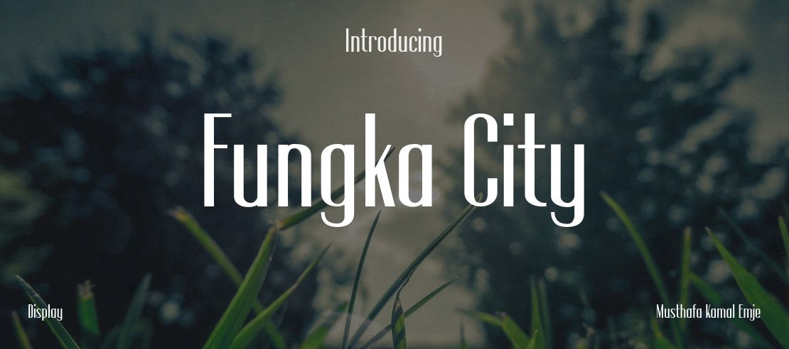 Fungka City Font