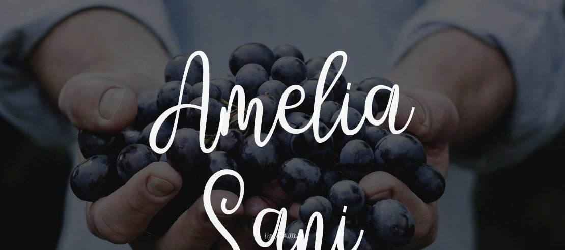 Amelia Sani Font